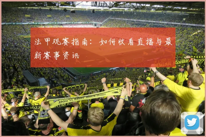 法甲观赛指南:如何收看直播与最新赛事资讯